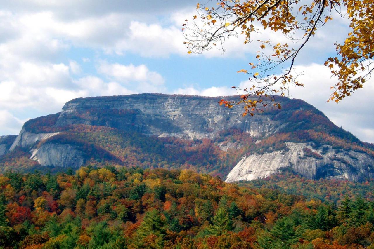 Heavenly Bearadise Cabin In Cashiers, Nc! Eksteriør bilde