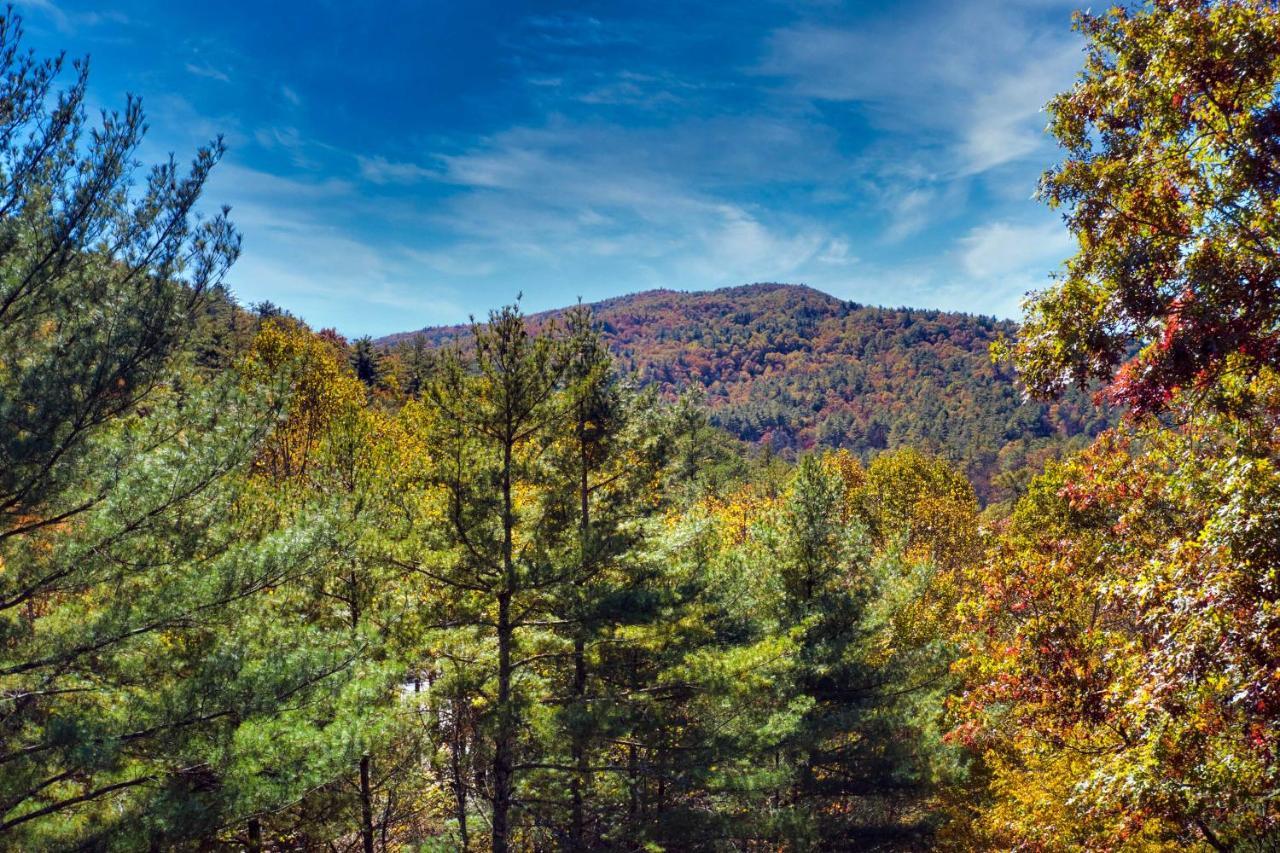 Heavenly Bearadise Cabin In Cashiers, Nc! Eksteriør bilde